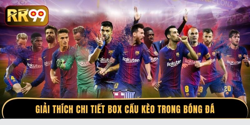 Giải thích chi tiết Box cầu kèo trong bóng đá